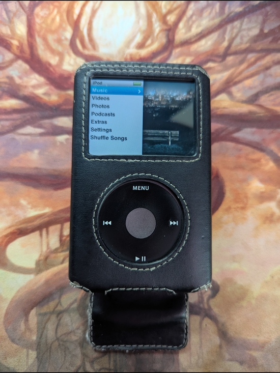 Apple Other - Apple's Finest iPod: iPod Classic 160GB Matte Black w/ Leather Case & USB Cable